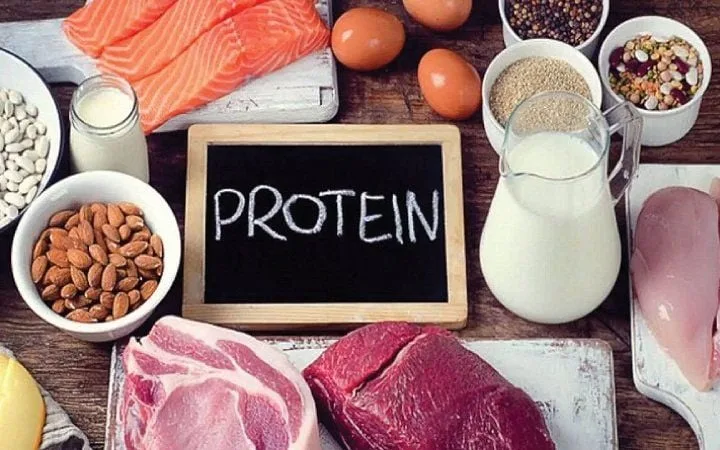 hình ảnh các nguồn protein lí tưởng