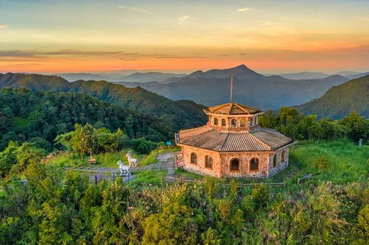 hình ảnh rừng quốc gia Bạch Mã