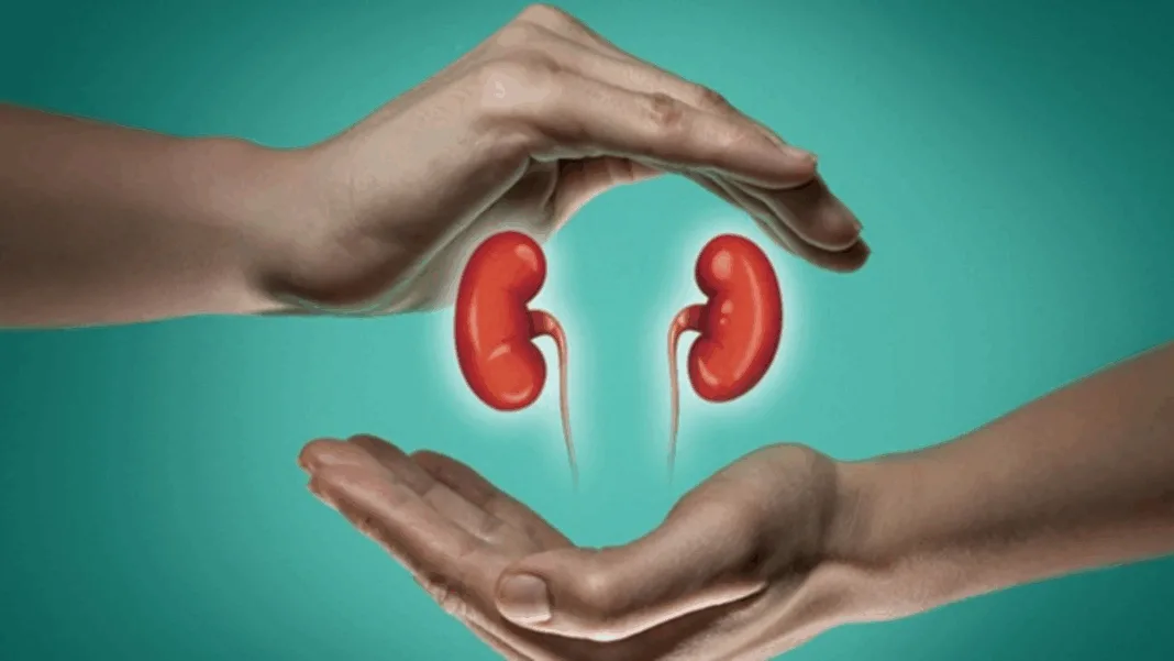 hình ảnh bảo vệ thận