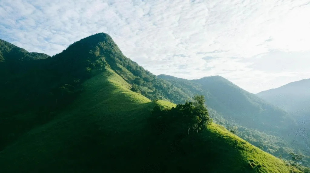 Tà Giang – Thảo nguyên giữa núi rừng Khánh Hòa
