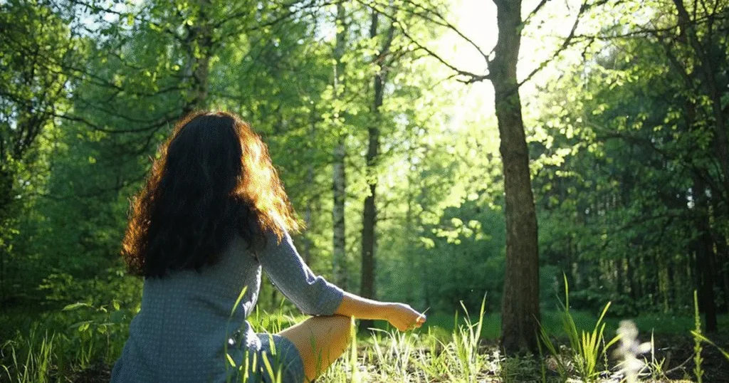 Tắm Rừng (Shinrin-Yoku) là Một Nghệ Thuật Chữa Lành Của Người Nhật
