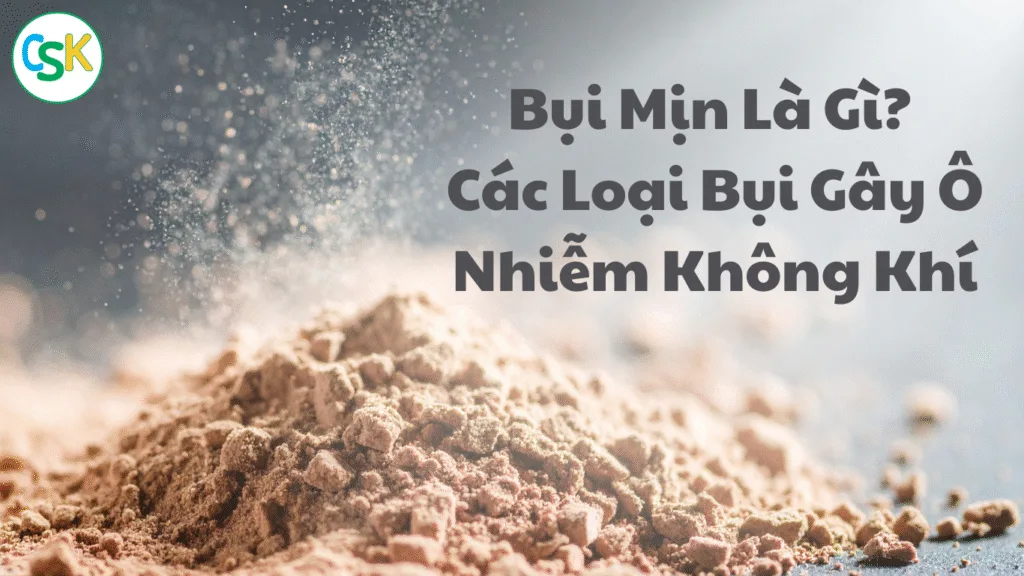 Bụi Mịn Là Gì? Các Loại Bụi Gây Ô Nhiễm Không Khí